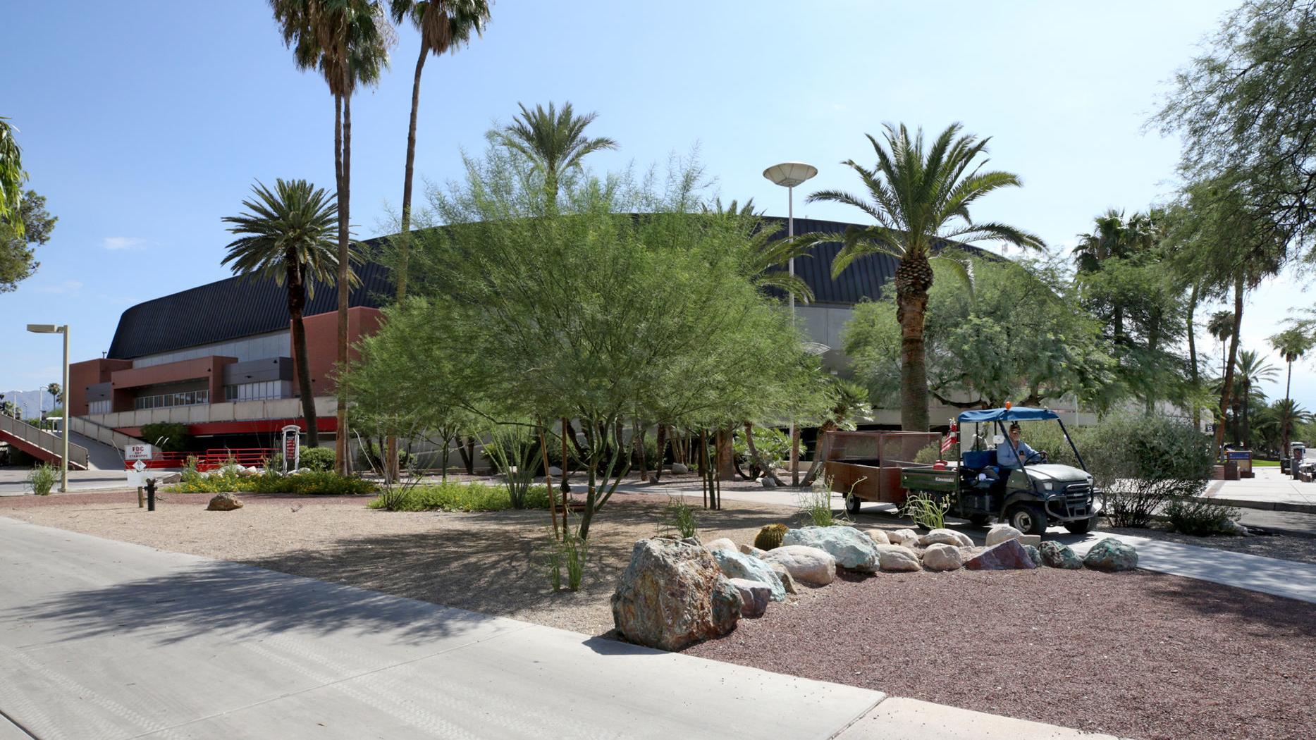 Arizona Wildcats looking for new diving coach after withdrawing offer to first choice
